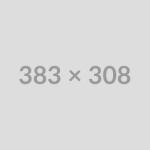 Freelancer Days 2024, What’s new?